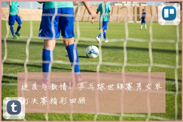 速度与激情！乒乓球世锦赛男女单打决赛精彩回顾